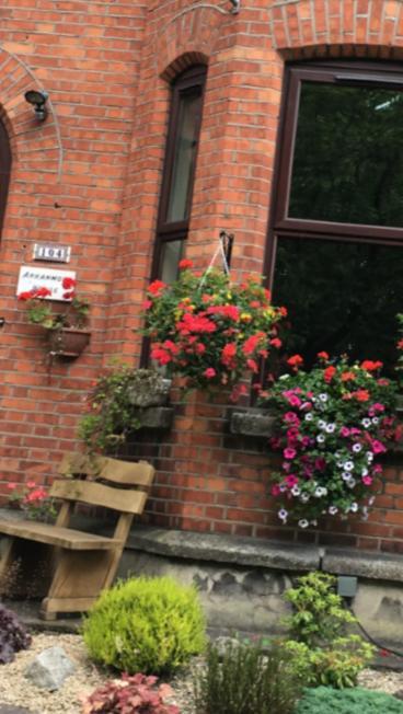 Arranmore House Bed and Breakfast Dublin Exteriör bild